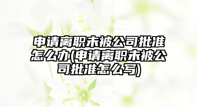 申請離職未被公司批準怎么辦(申請離職未被公司批準怎么寫)