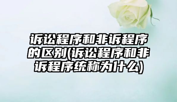 訴訟程序和非訴程序的區別(訴訟程序和非訴程序統稱為什么)