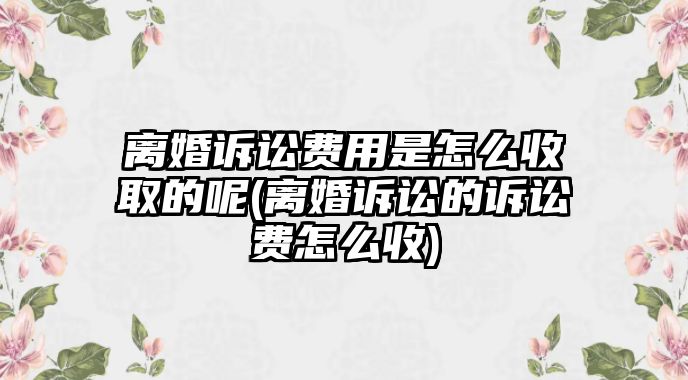 離婚訴訟費用是怎么收取的呢(離婚訴訟的訴訟費怎么收)