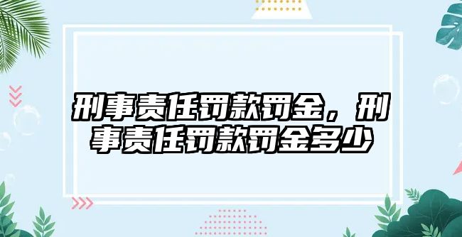 刑事責(zé)任罰款罰金，刑事責(zé)任罰款罰金多少