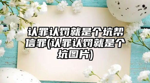 認罪認罰就是個坑幫信罪(認罪認罰就是個坑圖片)