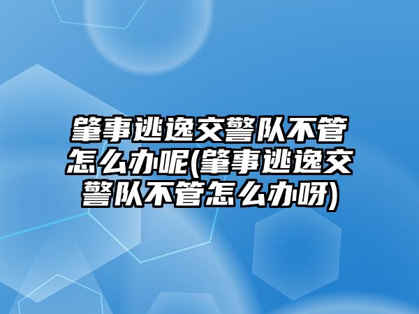 肇事逃逸交警隊(duì)不管怎么辦呢(肇事逃逸交警隊(duì)不管怎么辦呀)