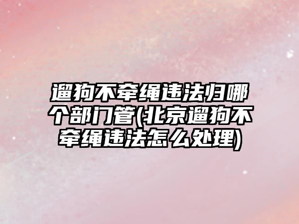 遛狗不牽繩違法歸哪個(gè)部門(mén)管(北京遛狗不牽繩違法怎么處理)