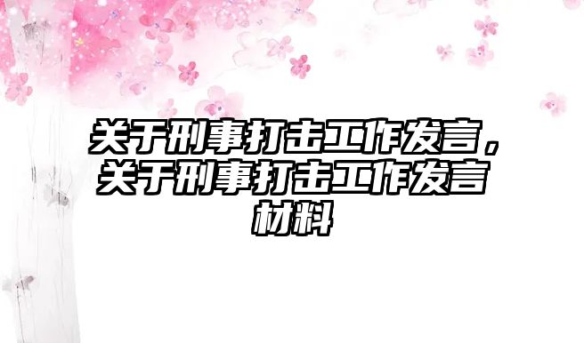 關于刑事打擊工作發言，關于刑事打擊工作發言材料