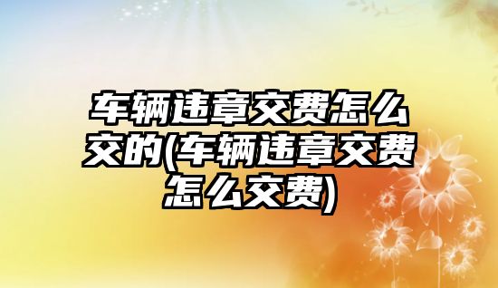 車輛違章交費怎么交的(車輛違章交費怎么交費)