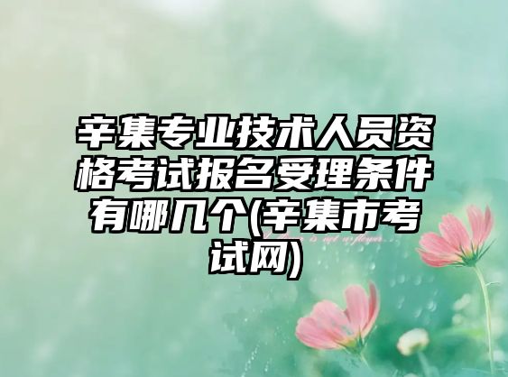 辛集專業技術人員資格考試報名受理條件有哪幾個(辛集市考試網)