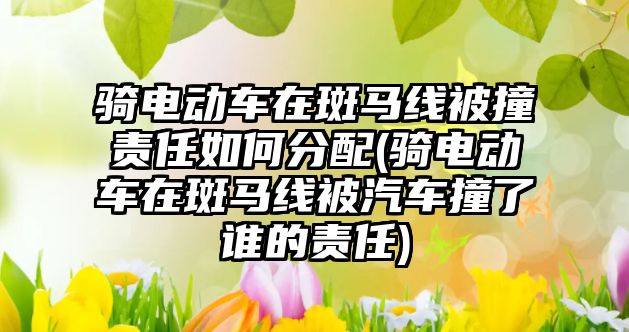 騎電動車在斑馬線被撞責任如何分配(騎電動車在斑馬線被汽車撞了誰的責任)