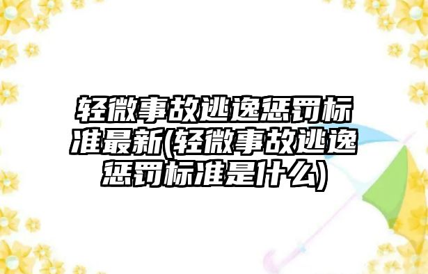 輕微事故逃逸懲罰標準最新(輕微事故逃逸懲罰標準是什么)