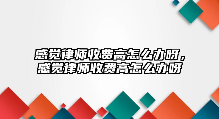 感覺(jué)律師收費(fèi)高怎么辦呀，感覺(jué)律師收費(fèi)高怎么辦呀