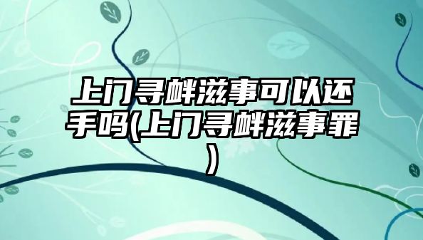 上門尋釁滋事可以還手嗎(上門尋釁滋事罪)