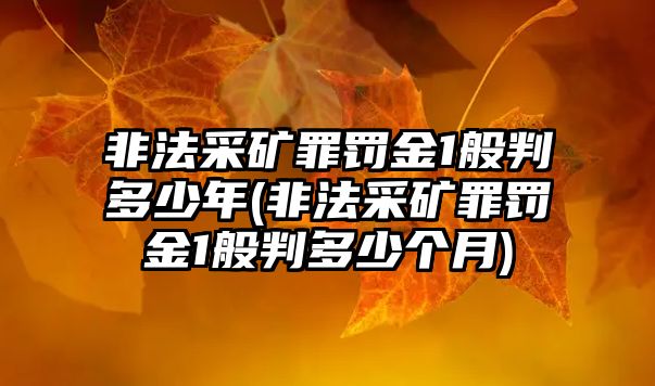 非法采礦罪罰金1般判多少年(非法采礦罪罰金1般判多少個月)