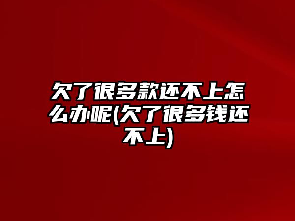 欠了很多款還不上怎么辦呢(欠了很多錢還不上)