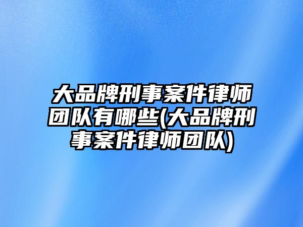 大品牌刑事案件律師團隊有哪些(大品牌刑事案件律師團隊)