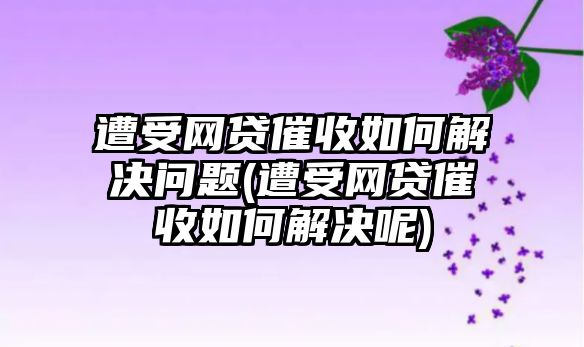 遭受網(wǎng)貸催收如何解決問題(遭受網(wǎng)貸催收如何解決呢)