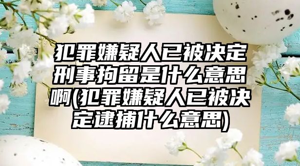 犯罪嫌疑人已被決定刑事拘留是什么意思啊(犯罪嫌疑人已被決定逮捕什么意思)