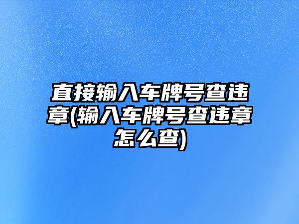 直接輸入車牌號查違章(輸入車牌號查違章怎么查)