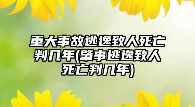 重大事故逃逸致人死亡判幾年(肇事逃逸致人死亡判幾年)