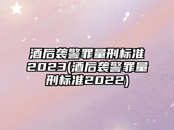 酒后襲警罪量刑標(biāo)準(zhǔn)2023(酒后襲警罪量刑標(biāo)準(zhǔn)2022)