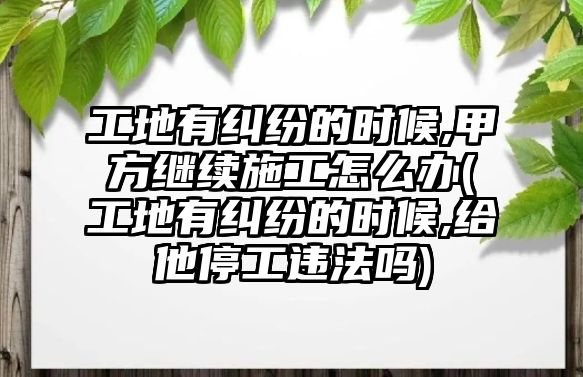 工地有糾紛的時候,甲方繼續施工怎么辦(工地有糾紛的時候,給他停工違法嗎)