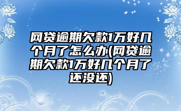 網(wǎng)貸逾期欠款1萬(wàn)好幾個(gè)月了怎么辦(網(wǎng)貸逾期欠款1萬(wàn)好幾個(gè)月了還沒還)