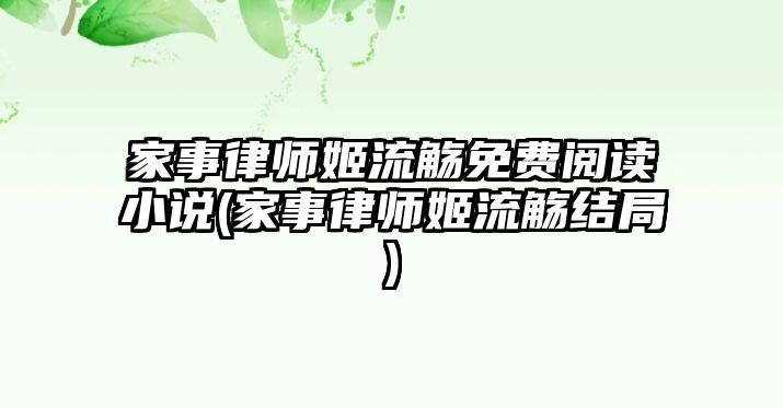 家事律師姬流觴免費閱讀小說(家事律師姬流觴結局)