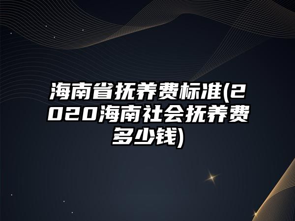 海南省撫養費標準(2020海南社會撫養費多少錢)