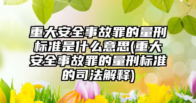 重大安全事故罪的量刑標準是什么意思(重大安全事故罪的量刑標準的司法解釋)