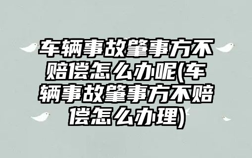 車(chē)輛事故肇事方不賠償怎么辦呢(車(chē)輛事故肇事方不賠償怎么辦理)