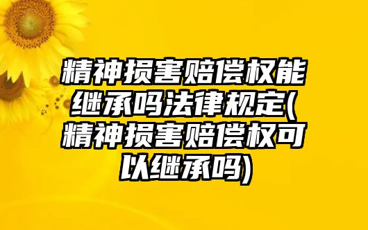 精神損害賠償權(quán)能繼承嗎法律規(guī)定(精神損害賠償權(quán)可以繼承嗎)