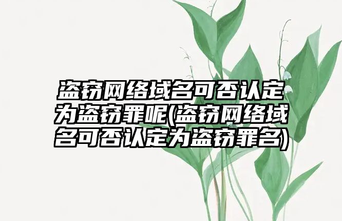 盜竊網(wǎng)絡域名可否認定為盜竊罪呢(盜竊網(wǎng)絡域名可否認定為盜竊罪名)