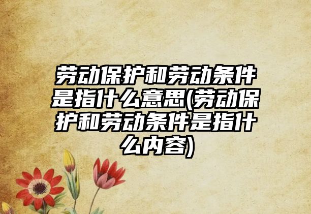 勞動保護和勞動條件是指什么意思(勞動保護和勞動條件是指什么內容)