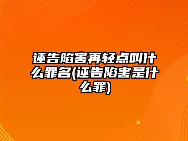 誣告陷害再輕點叫什么罪名(誣告陷害是什么罪)