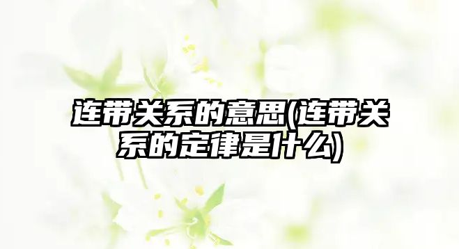 連帶關系的意思(連帶關系的定律是什么)