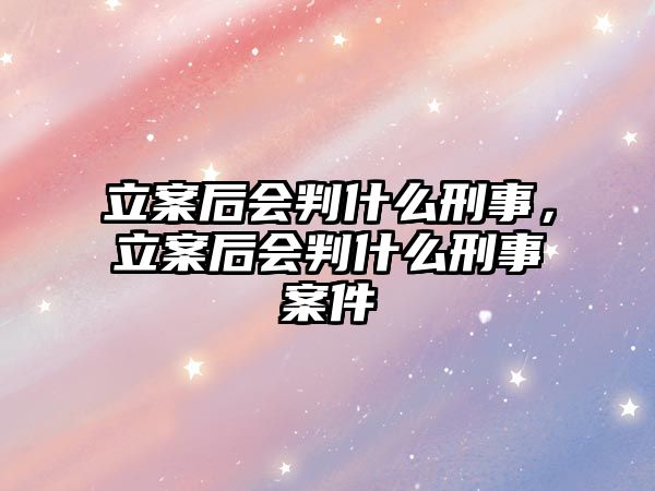 立案后會判什么刑事，立案后會判什么刑事案件