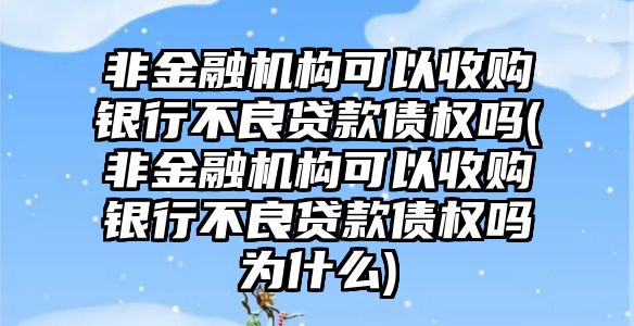 非金融機構可以收購銀行不良貸款債權嗎(非金融機構可以收購銀行不良貸款債權嗎為什么)