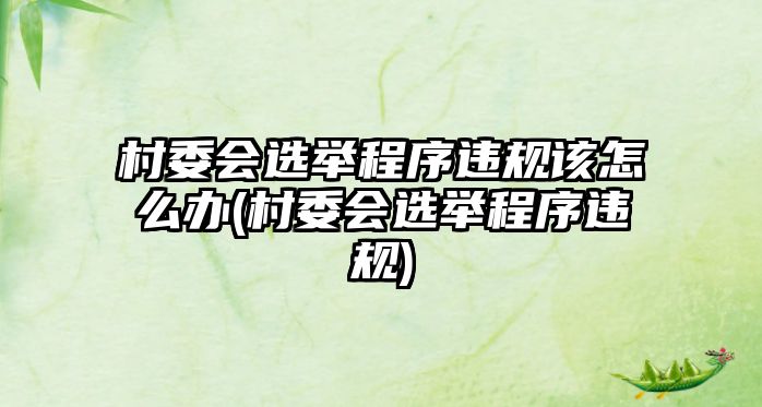 村委會選舉程序違規(guī)該怎么辦(村委會選舉程序違規(guī))