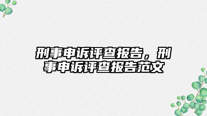 刑事申訴評查報告，刑事申訴評查報告范文