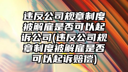 違反公司規章制度被解雇是否可以起訴公司(違反公司規章制度被解雇是否可以起訴賠償)