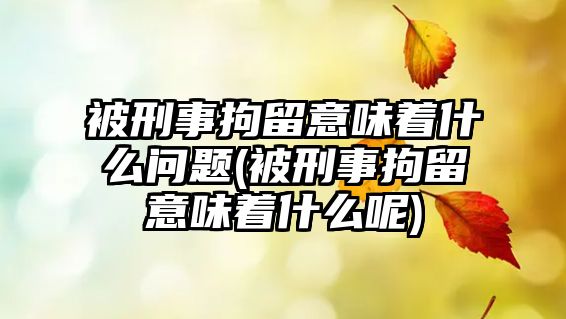 被刑事拘留意味著什么問題(被刑事拘留意味著什么呢)