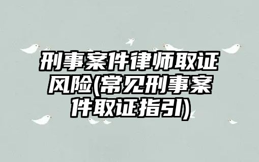 刑事案件律師取證風險(常見刑事案件取證指引)