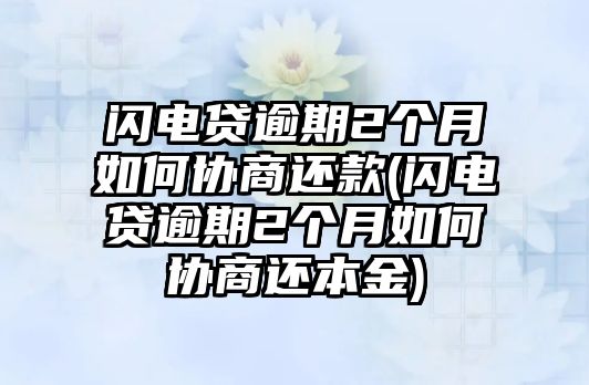 閃電貸逾期2個月如何協(xié)商還款(閃電貸逾期2個月如何協(xié)商還本金)