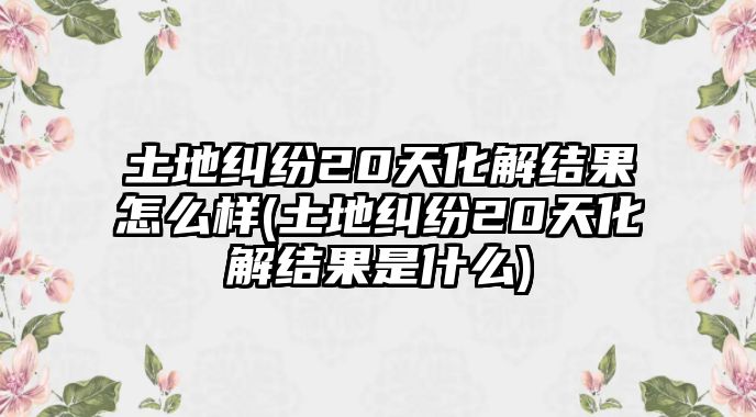 土地糾紛20天化解結果怎么樣(土地糾紛20天化解結果是什么)