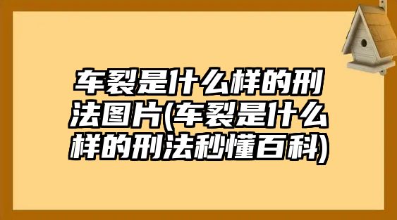 車裂是什么樣的刑法圖片(車裂是什么樣的刑法秒懂百科)