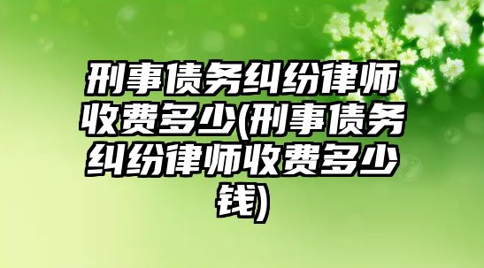 刑事債務糾紛律師收費多少(刑事債務糾紛律師收費多少錢)