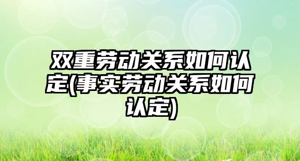 雙重勞動關系如何認定(事實勞動關系如何認定)