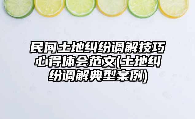 民間土地糾紛調(diào)解技巧心得體會范文(土地糾紛調(diào)解典型案例)