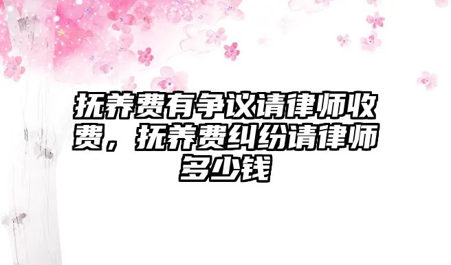 撫養(yǎng)費有爭議請律師收費，撫養(yǎng)費糾紛請律師多少錢