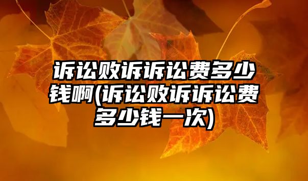 訴訟敗訴訴訟費多少錢啊(訴訟敗訴訴訟費多少錢一次)