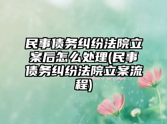 民事債務糾紛法院立案后怎么處理(民事債務糾紛法院立案流程)