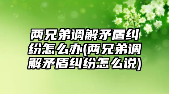 兩兄弟調(diào)解矛盾糾紛怎么辦(兩兄弟調(diào)解矛盾糾紛怎么說)